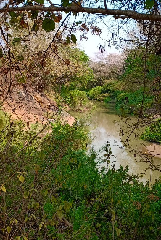 Nature Sanctuary-里朗威必去景点