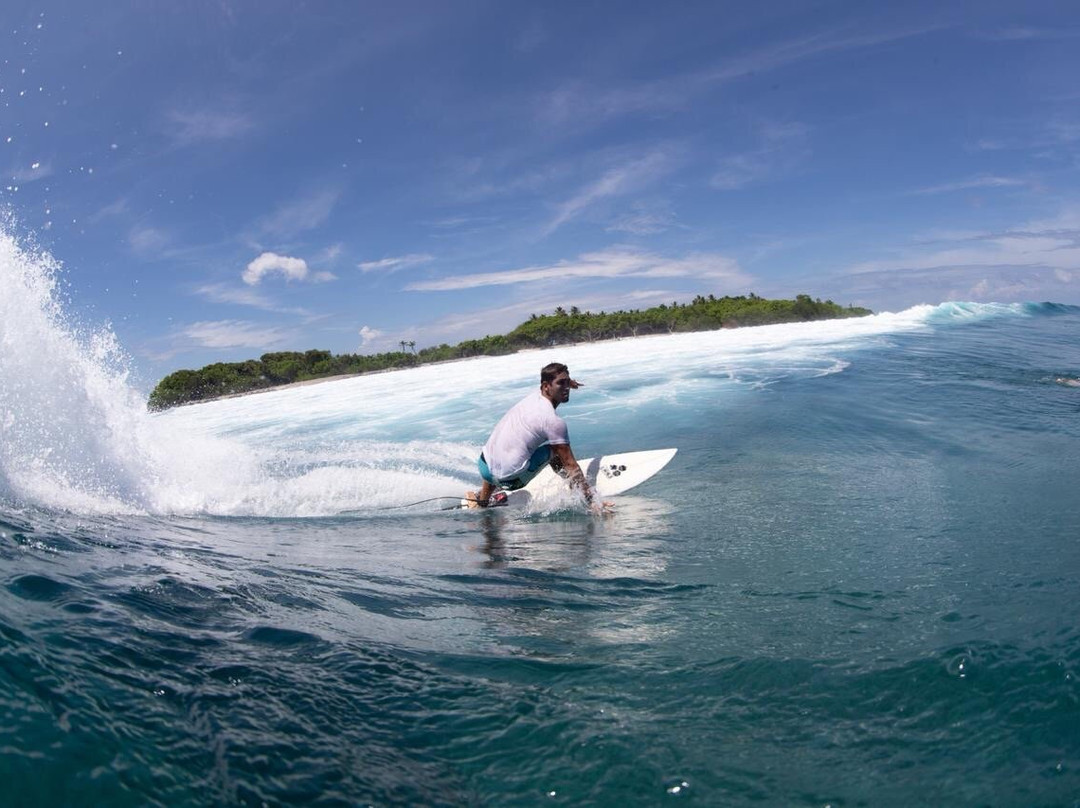 El Gato Rojas Surf School景点图片