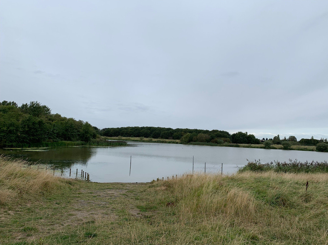 Cleethorpes Country Park景点图片