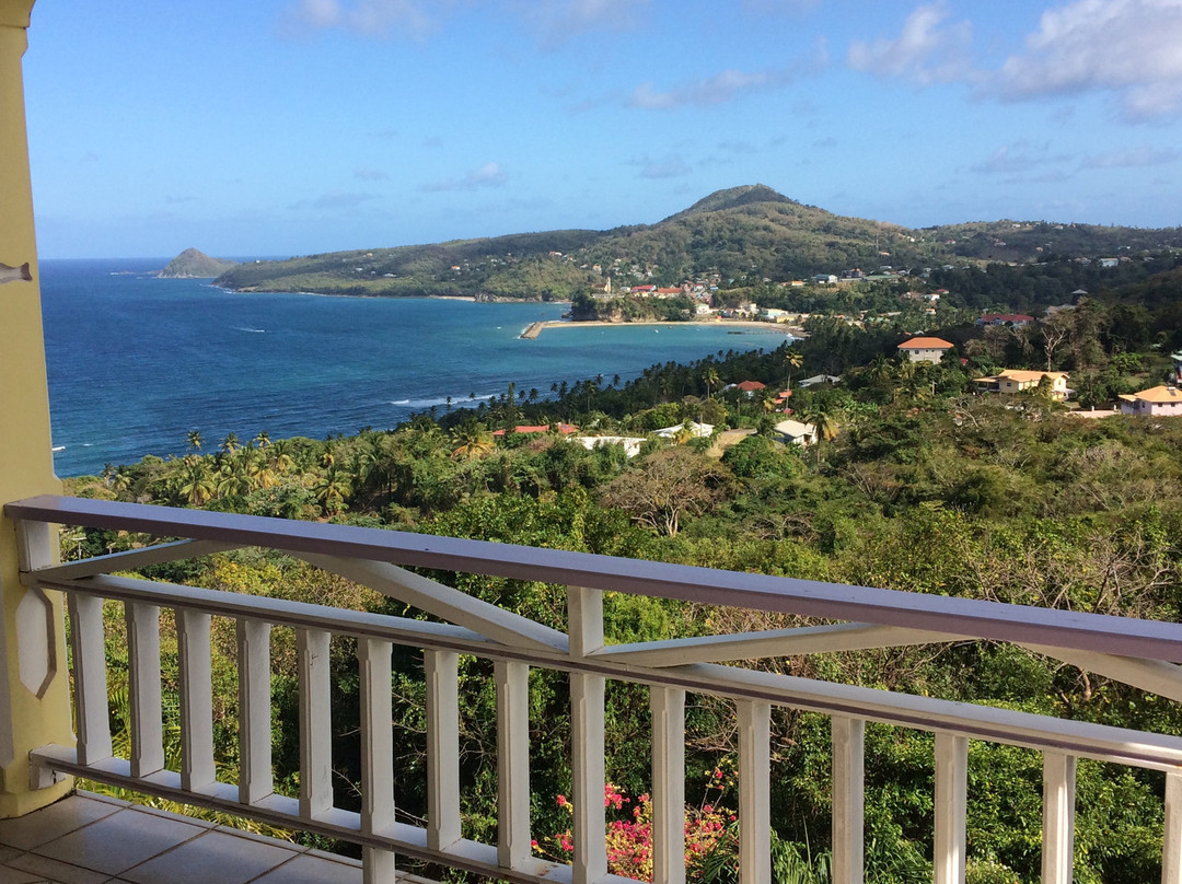 Treetops Villa Guest House主图