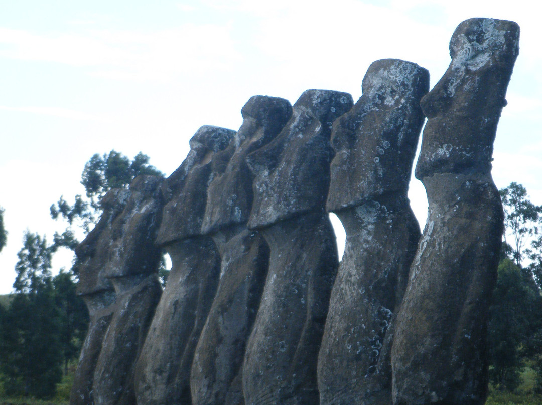 Ahu Akivi-复活节岛必去景点
