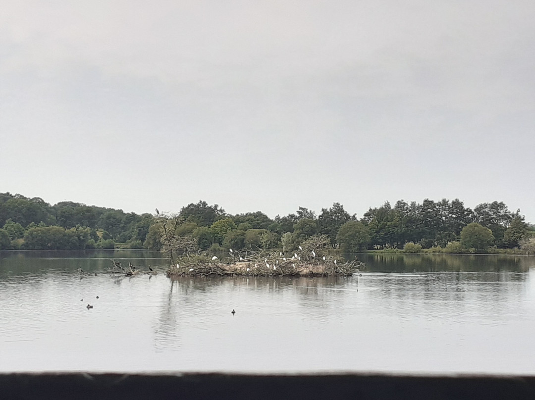 Lac De Beaulieu景点图片