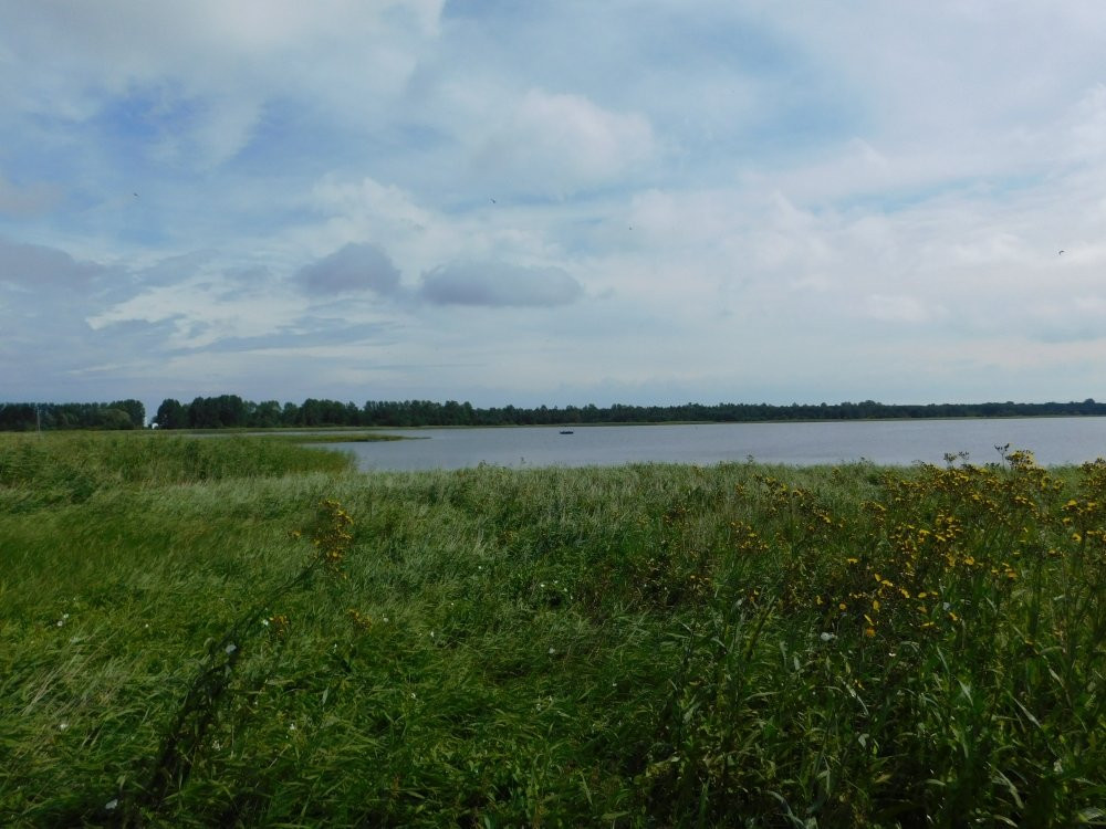 Rezerwat przyrody Słone łaki-弗瓦迪斯瓦沃沃必去景点