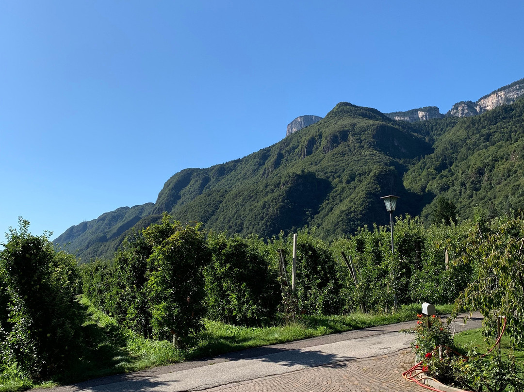 Hotel Traubenheim主图