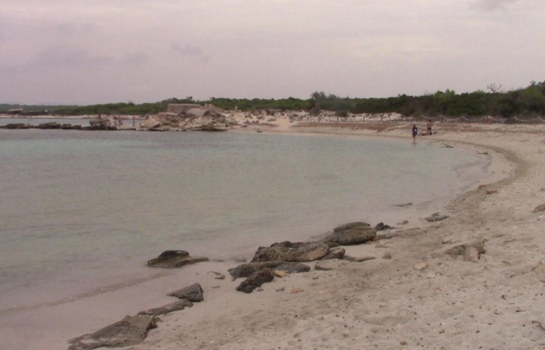 Platja Es Peregons-Campos必去景点