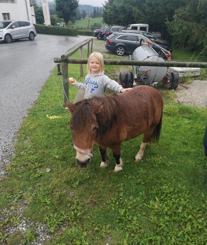 Der Ponyhof Familienhotel主图