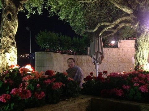 普利马太巴列酒店主图