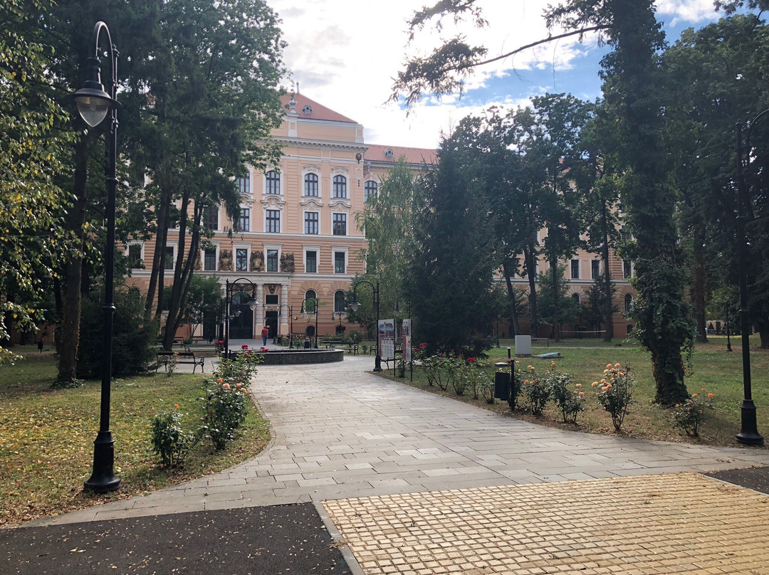 The Criș Country Museum-拉迪亚必去景点