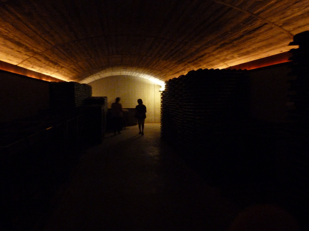 Celler Carles Andreu-Pira必去景点