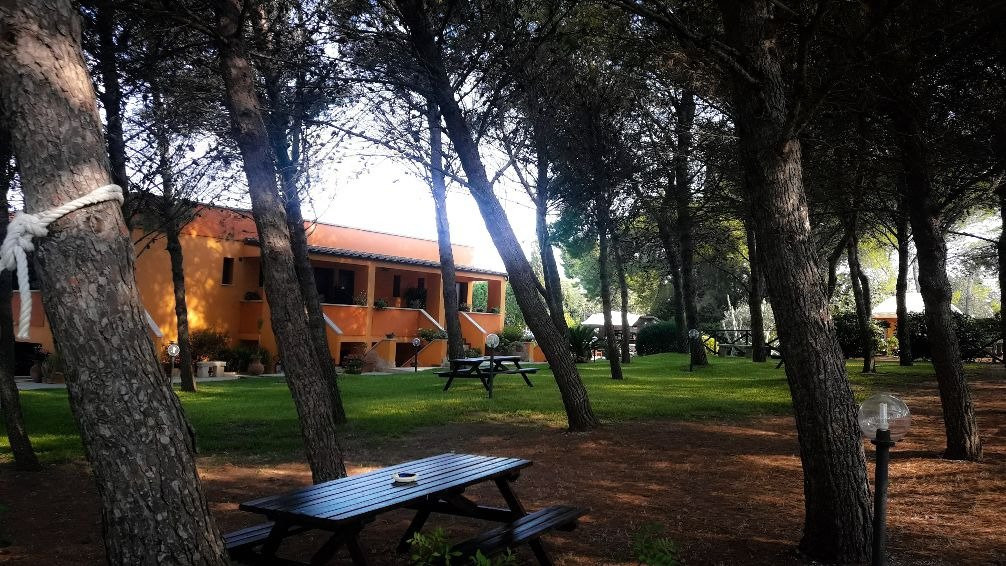 地中海的太阳主图