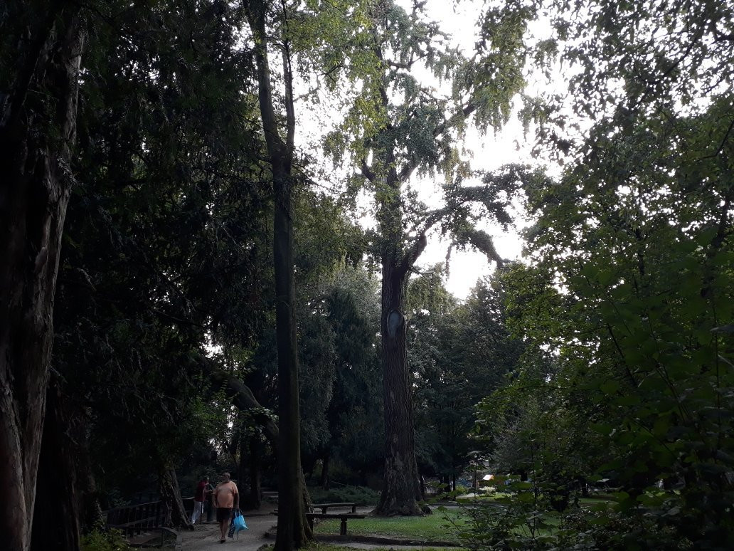 Parco Sola Cabiati景点图片