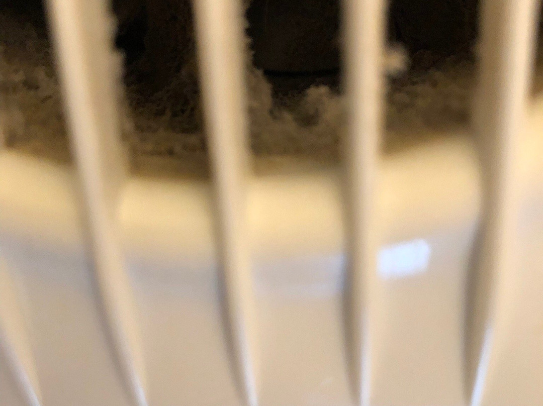 The Hatchet Inn主图