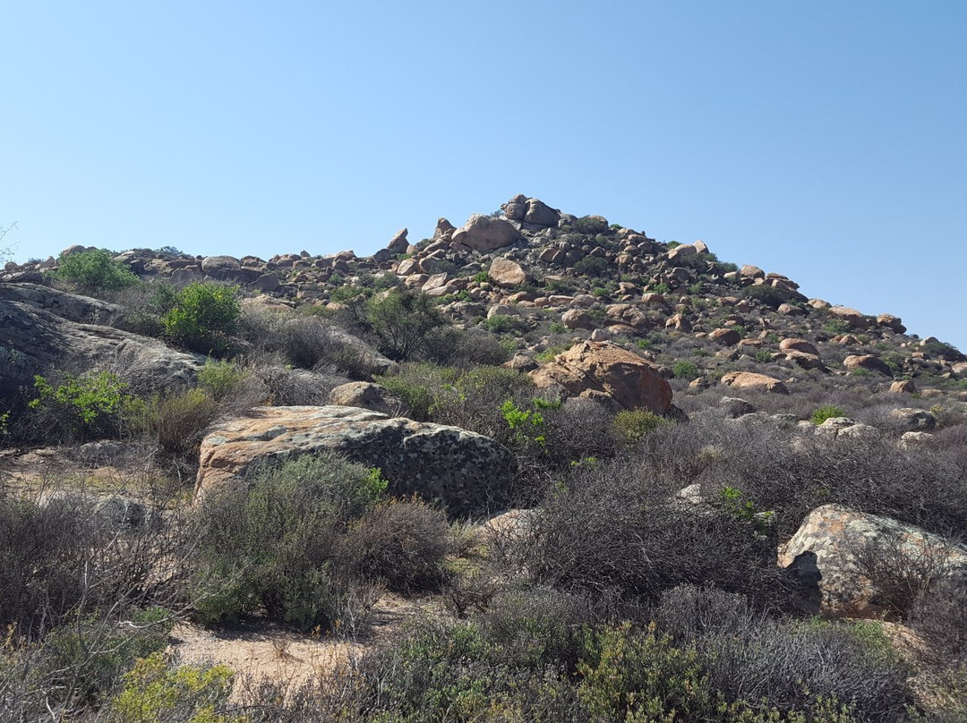 Goegap Nature Reserve-Springbok必去景点