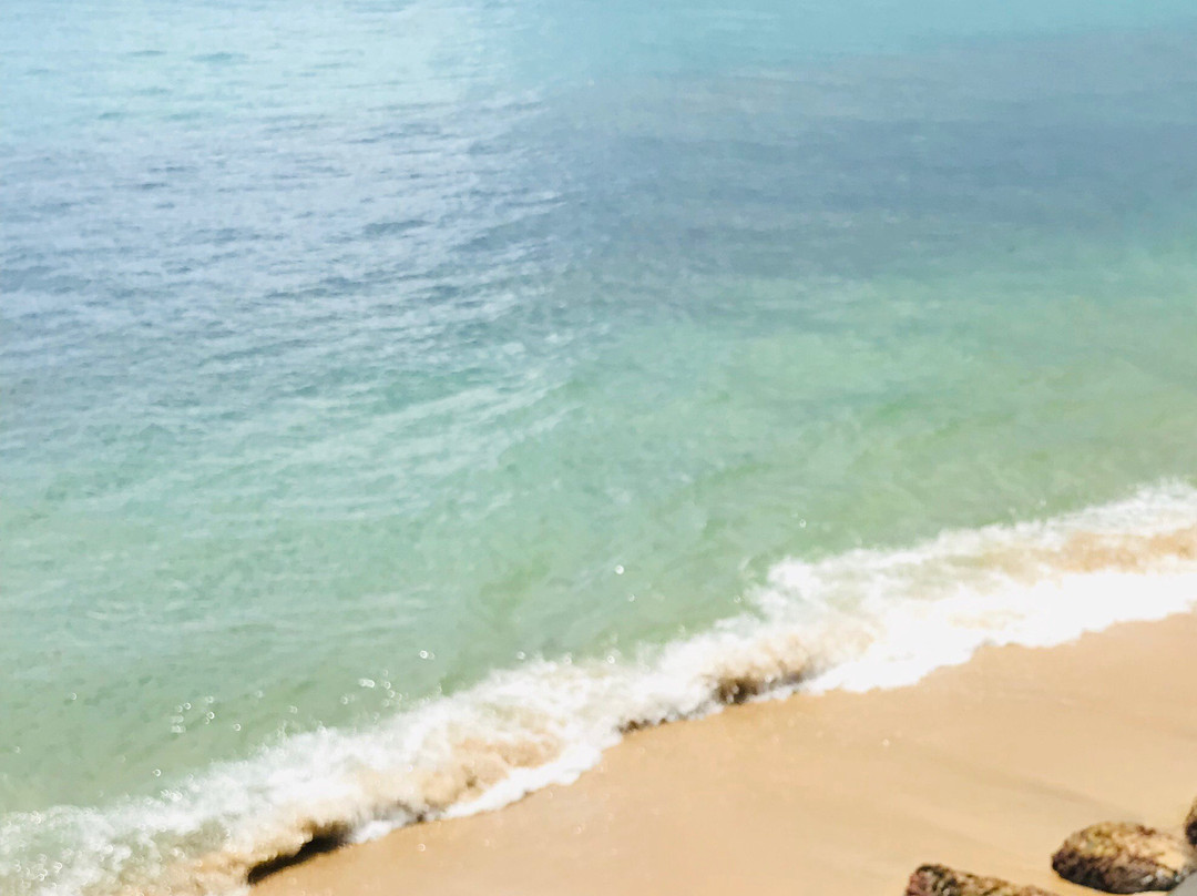 Hotel Villa Cofresi主图