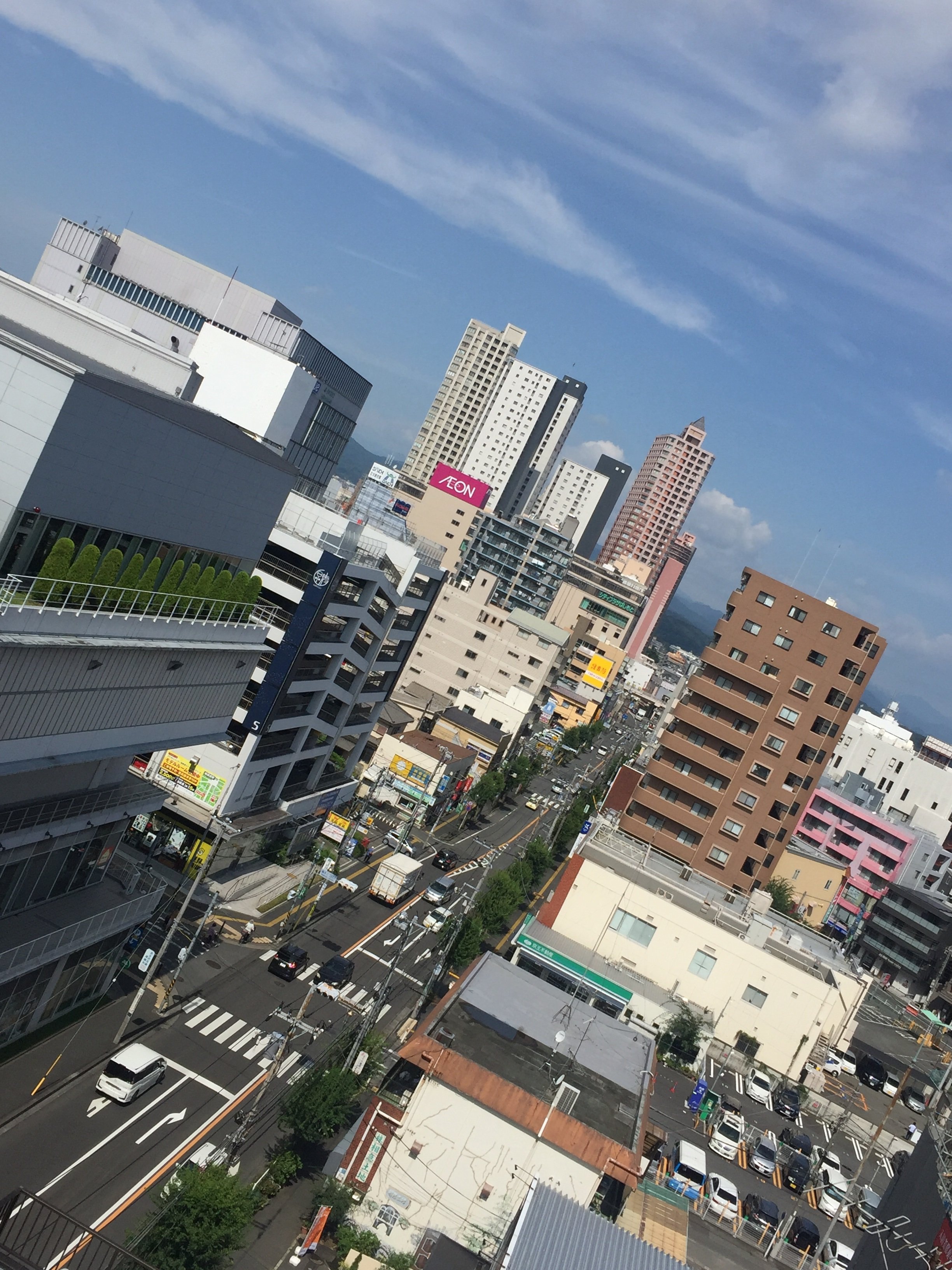 桥本公园酒店-酒店景观