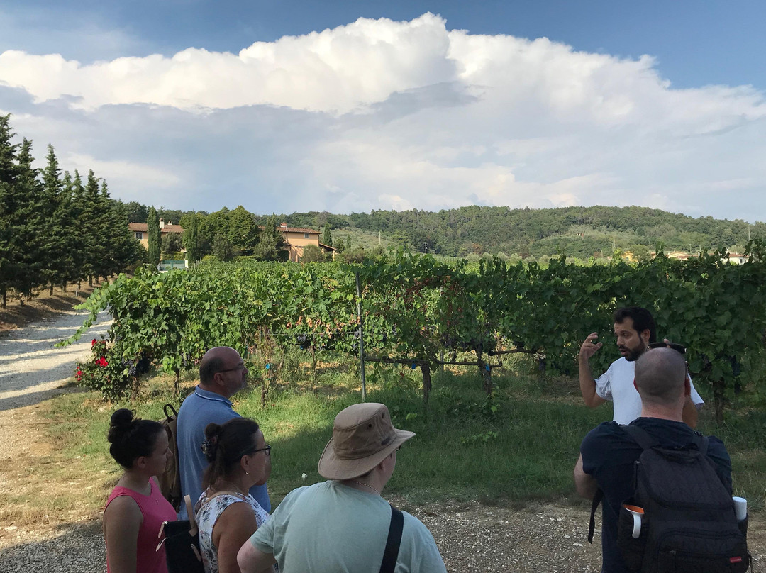 WINEAFTERWINE - Wine tasting e wine tours in Tuscany景点图片
