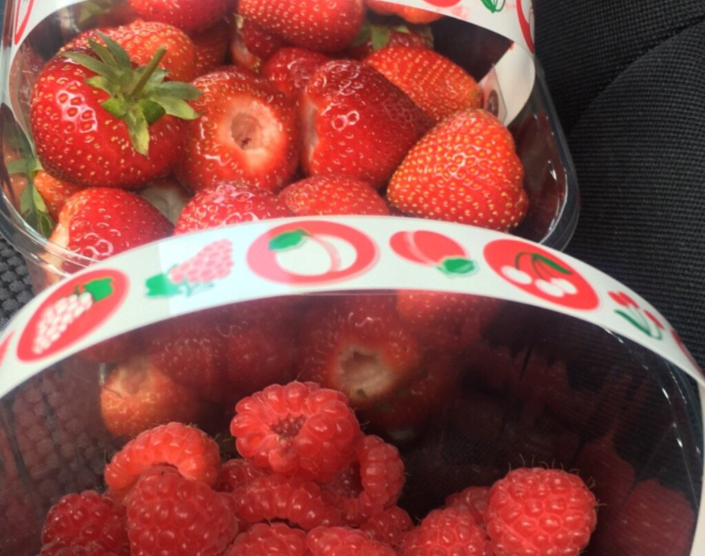 Lotmead Farm-斯温顿必去景点