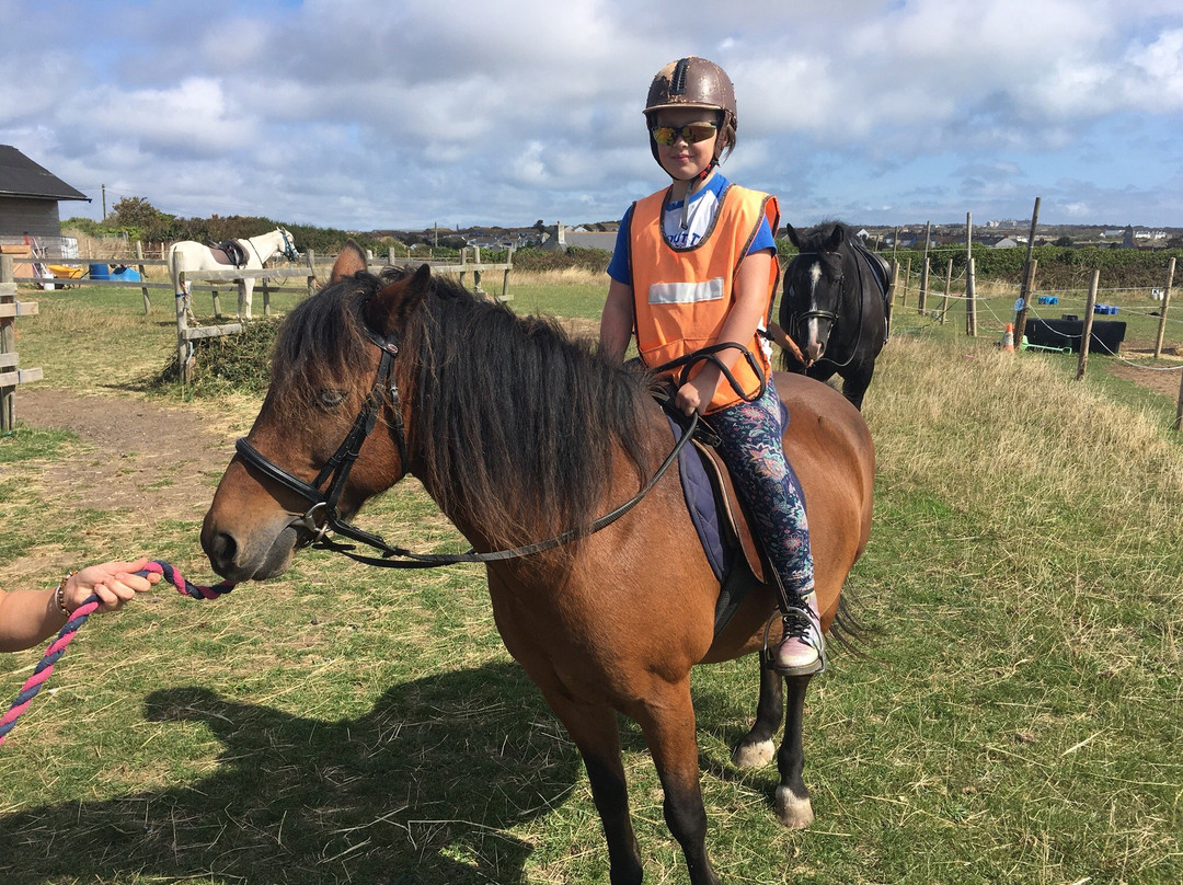 Chesil Equestrian Centre-Isle of Portland必去景点