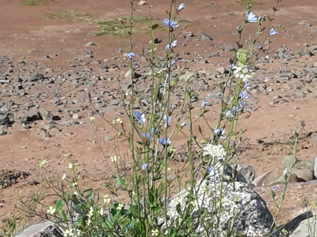 The Breeze Motel主图