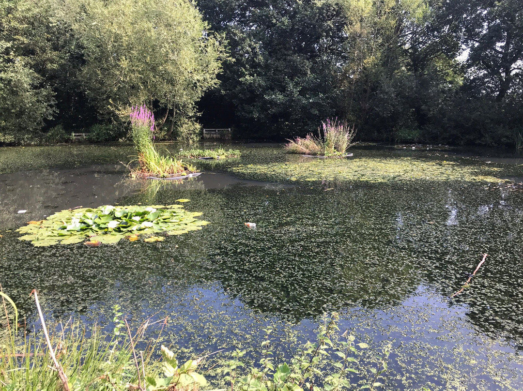 Brotherton Nature Park-Bromborough必去景点