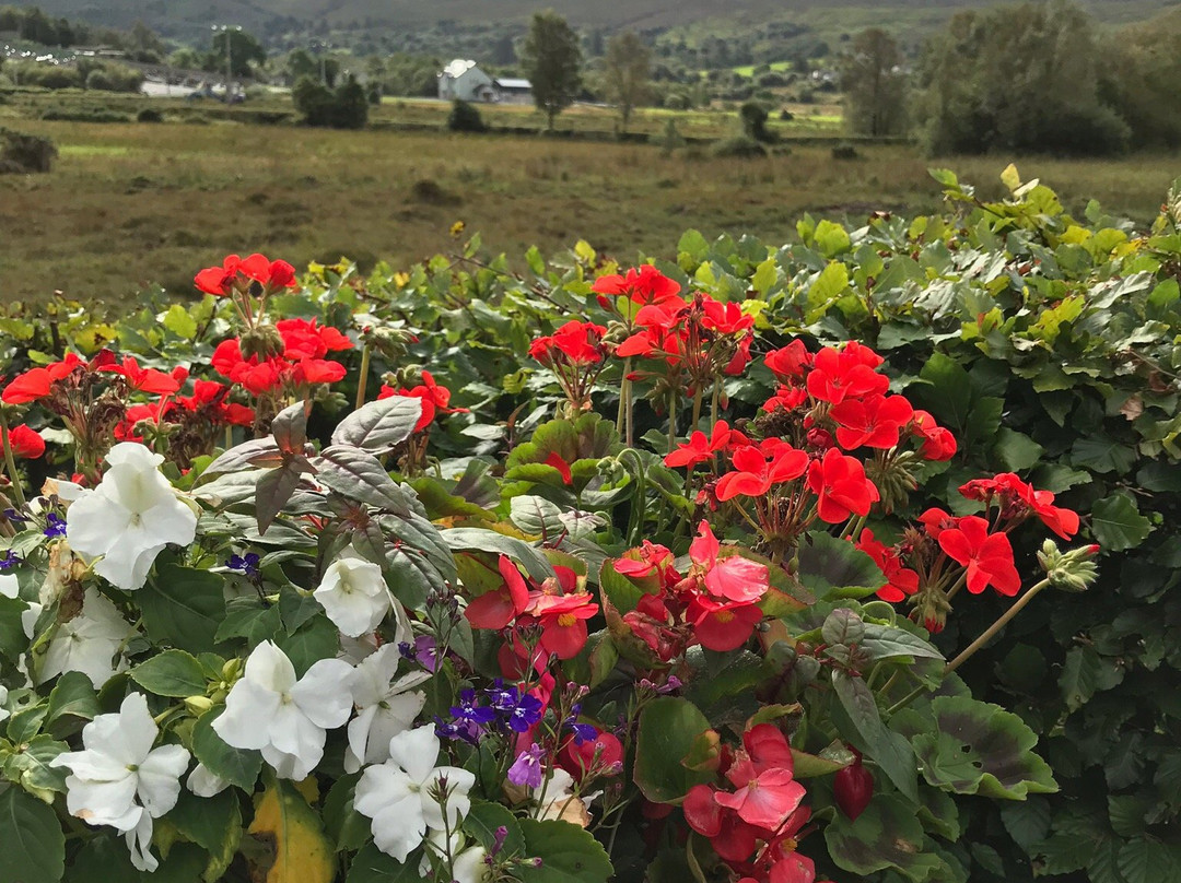 Avalon Guest House主图