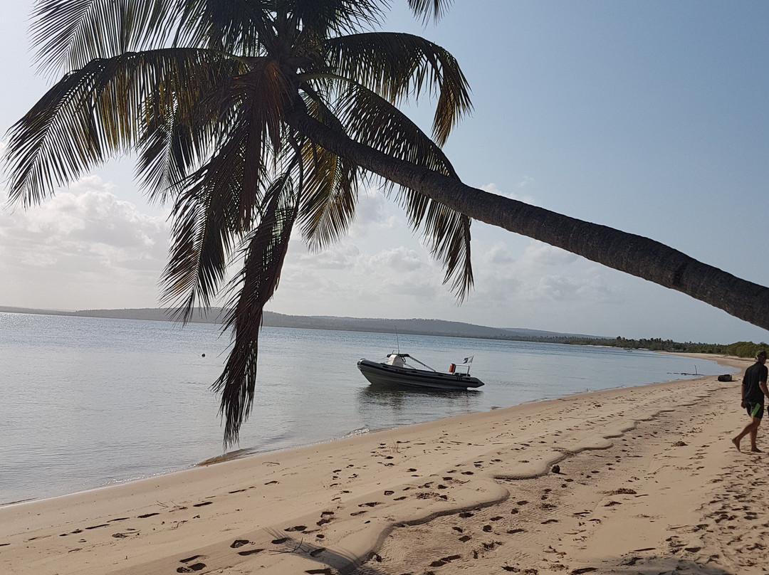 Aquaholics Barra Scuba & Activities-Praia da Barra必去景点