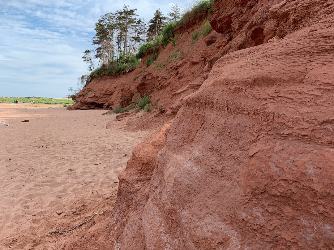 Cabot Beach Provincial Park景点图片