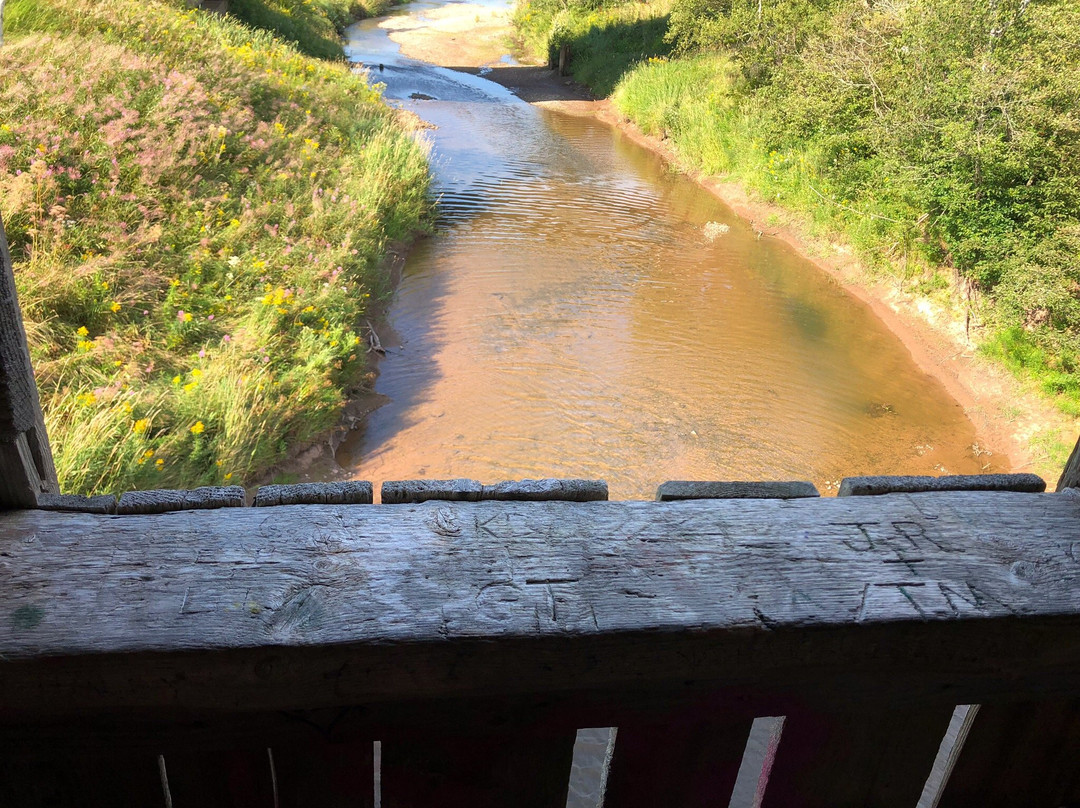 Sawmill Creek Bridge景点图片