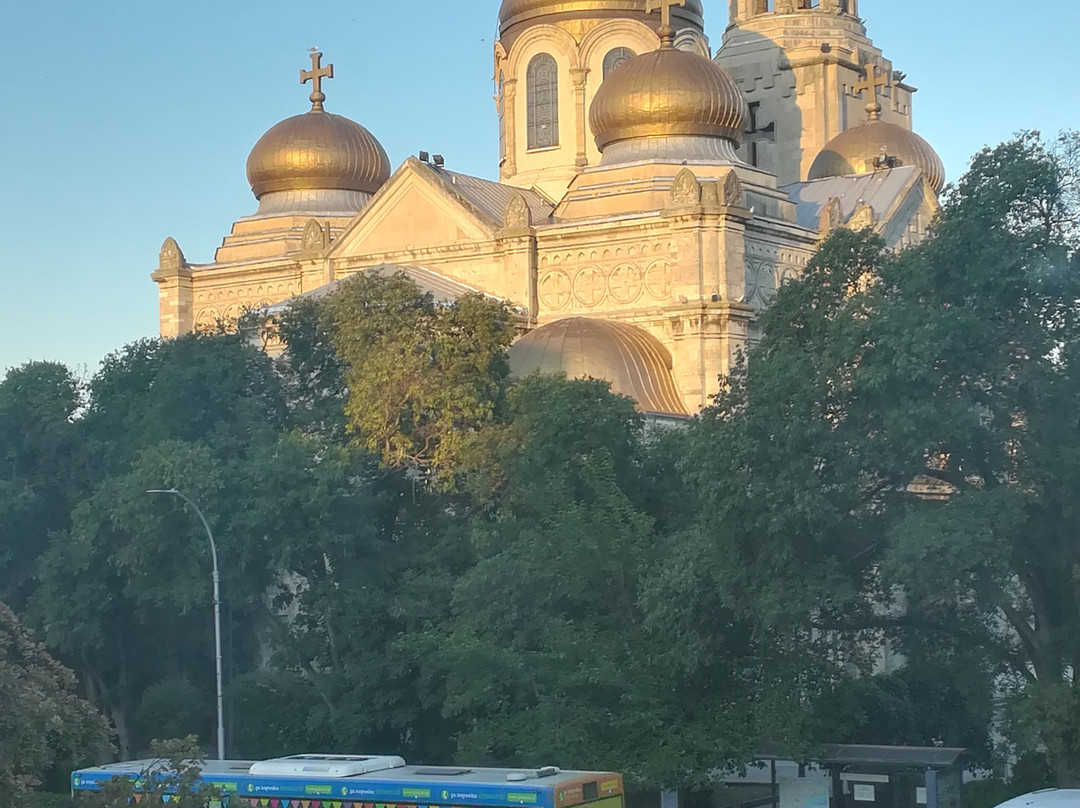 Splendid Boutique主图