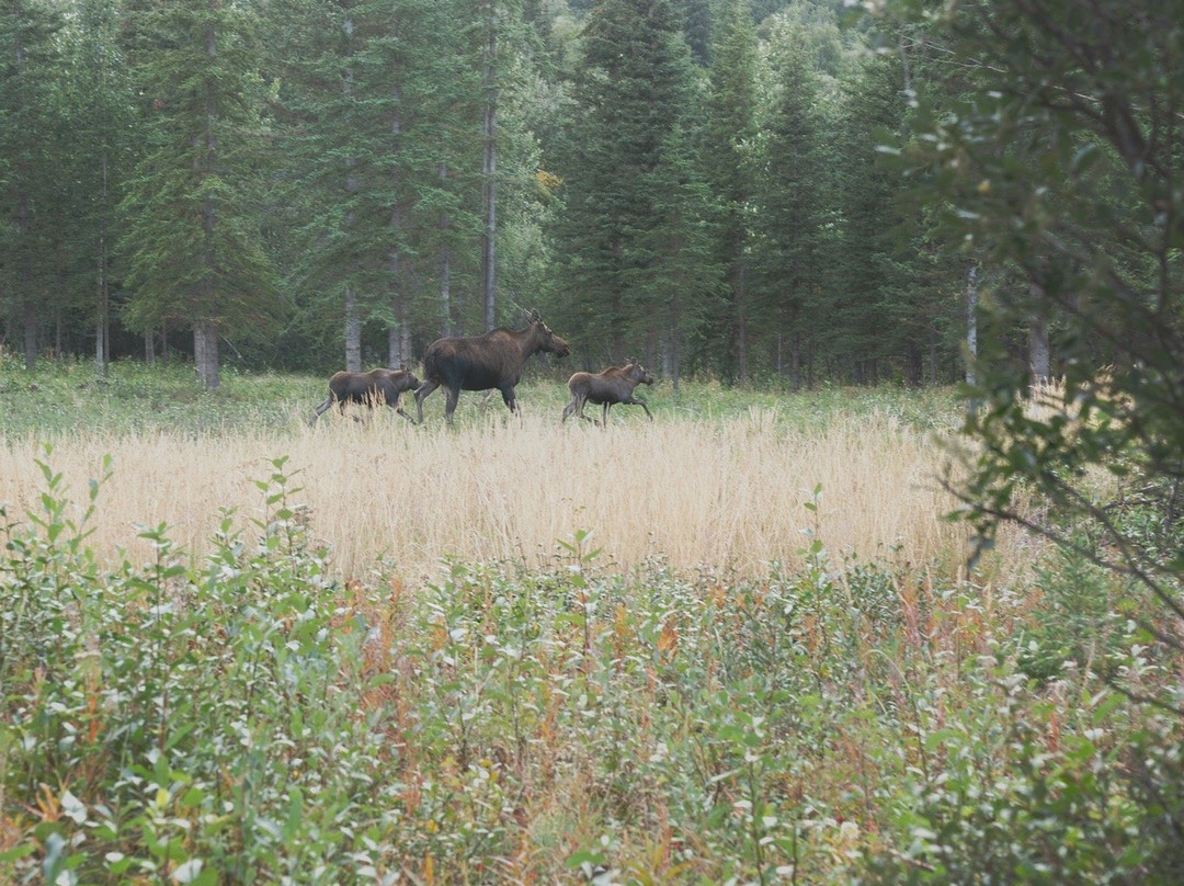 Glacier View Adventures-Glacier View必去景点