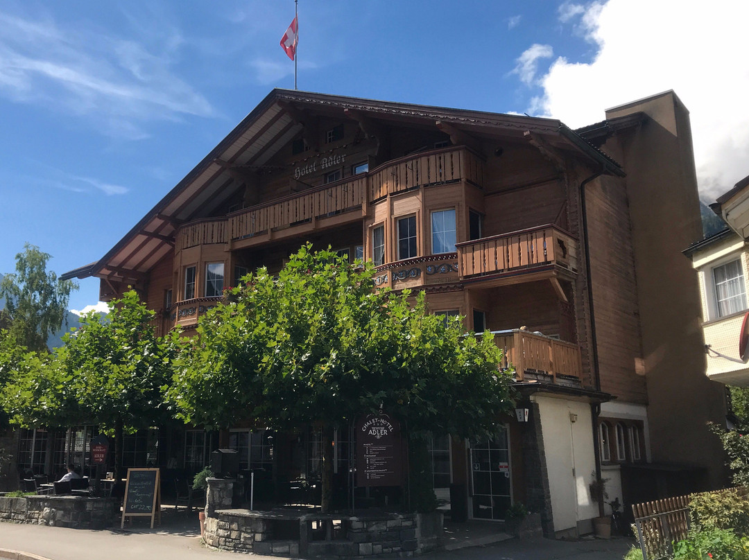 Chalet Hotel Adler主图