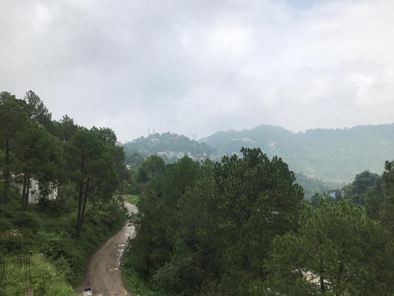 Hotel Sanawar View-酒店景观