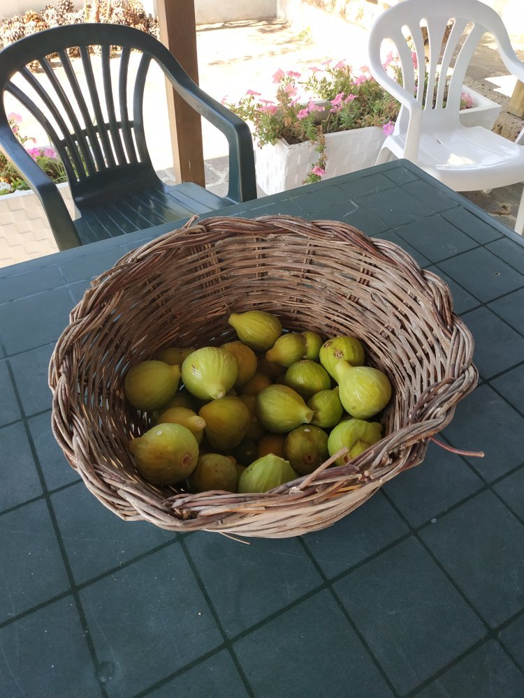 B&B Gli Orti-官方