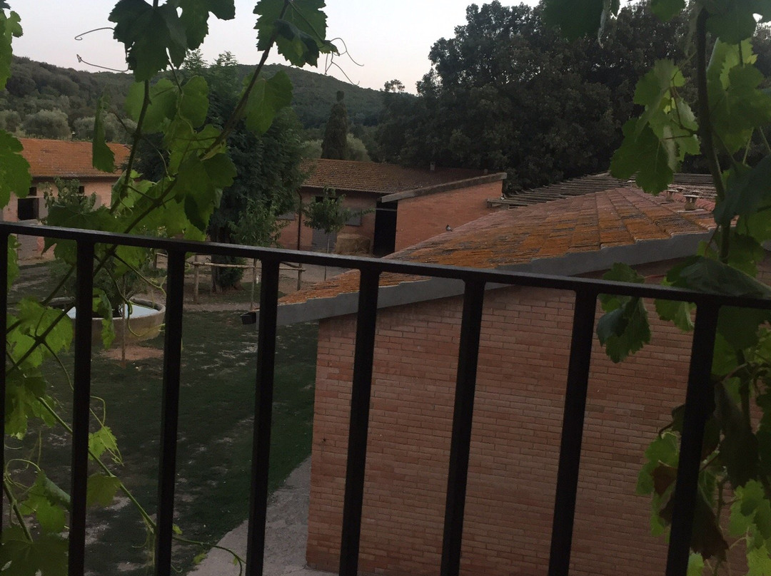 La Pescaia Resort主图