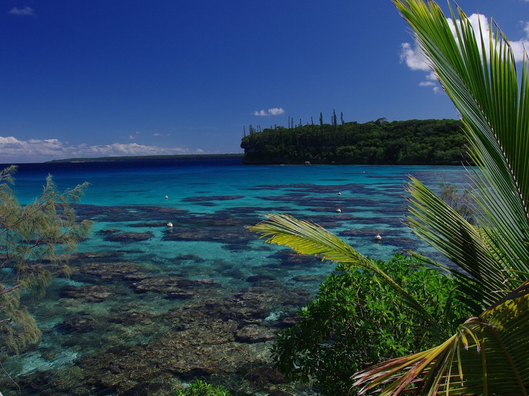 Baie de Jinek-Lifou必去景点
