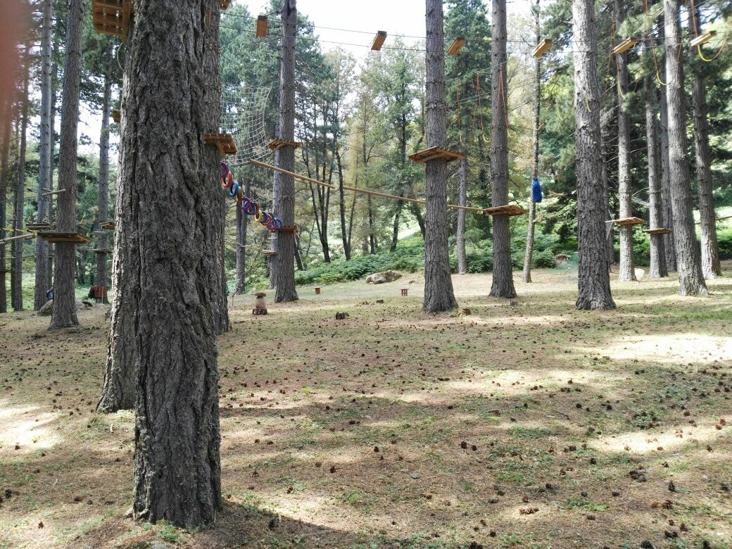 Parco Avventura Principe-Petilia Policastro必去景点