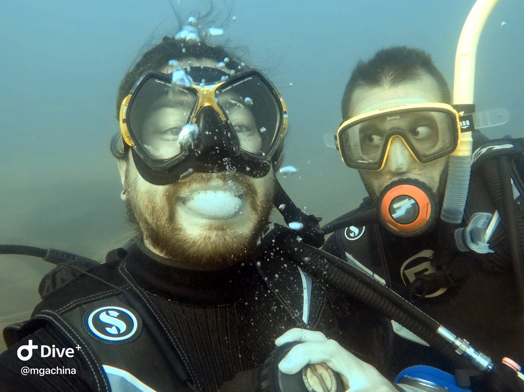 Aqua Africa Dive School景点图片