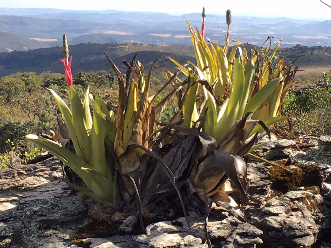 Parque Estadual da Serra dos Pireneus-Pirenopolis必去景点