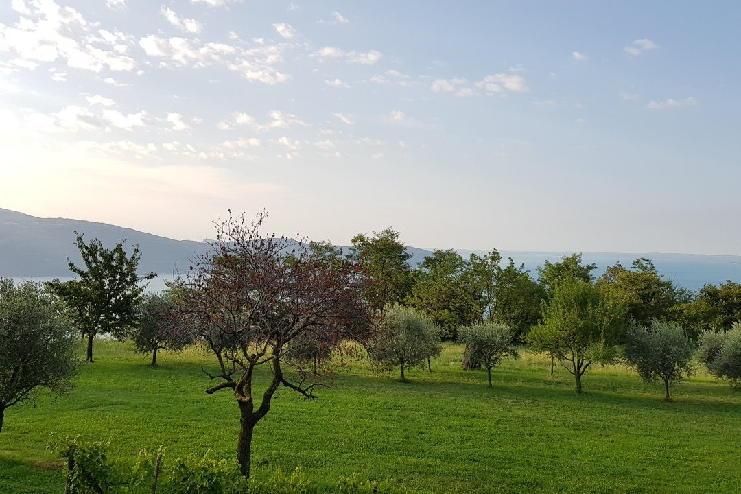 Garni Marika主图