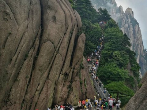 排云楼宾馆-官方