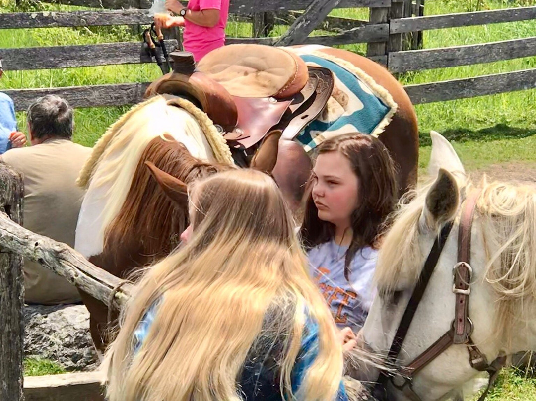 Appalachian Horseback Riding Adventures-Troutdale必去景点