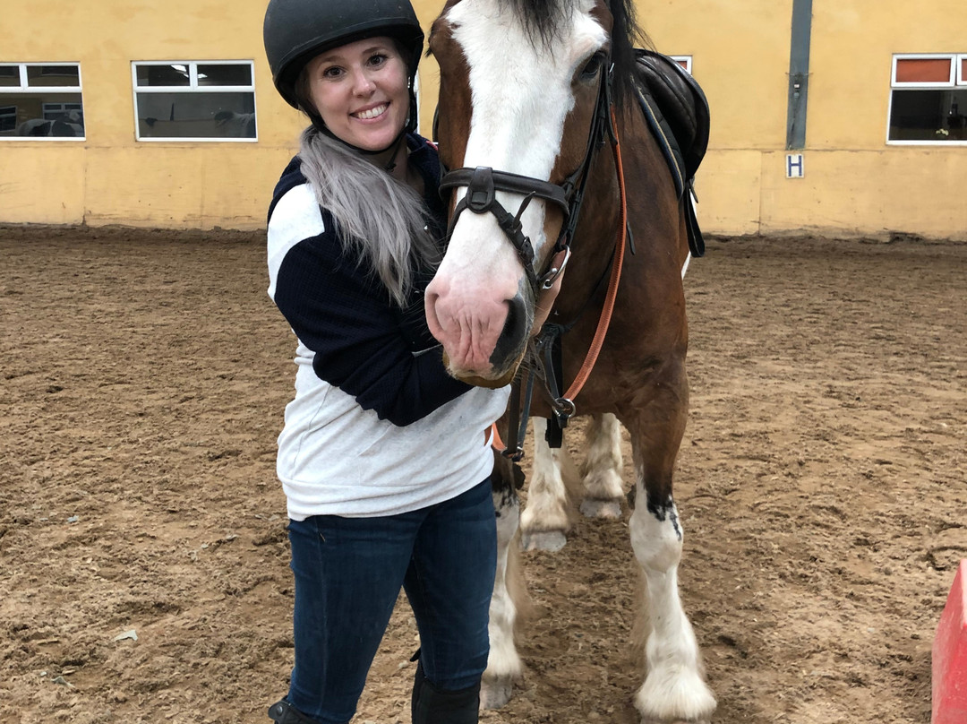 Coolmine Equestrian Centre-都柏林必去景点