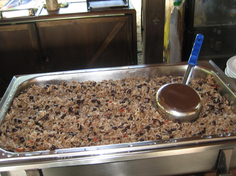 Costa Rica Roots Shuttle-托图杰多必去景点