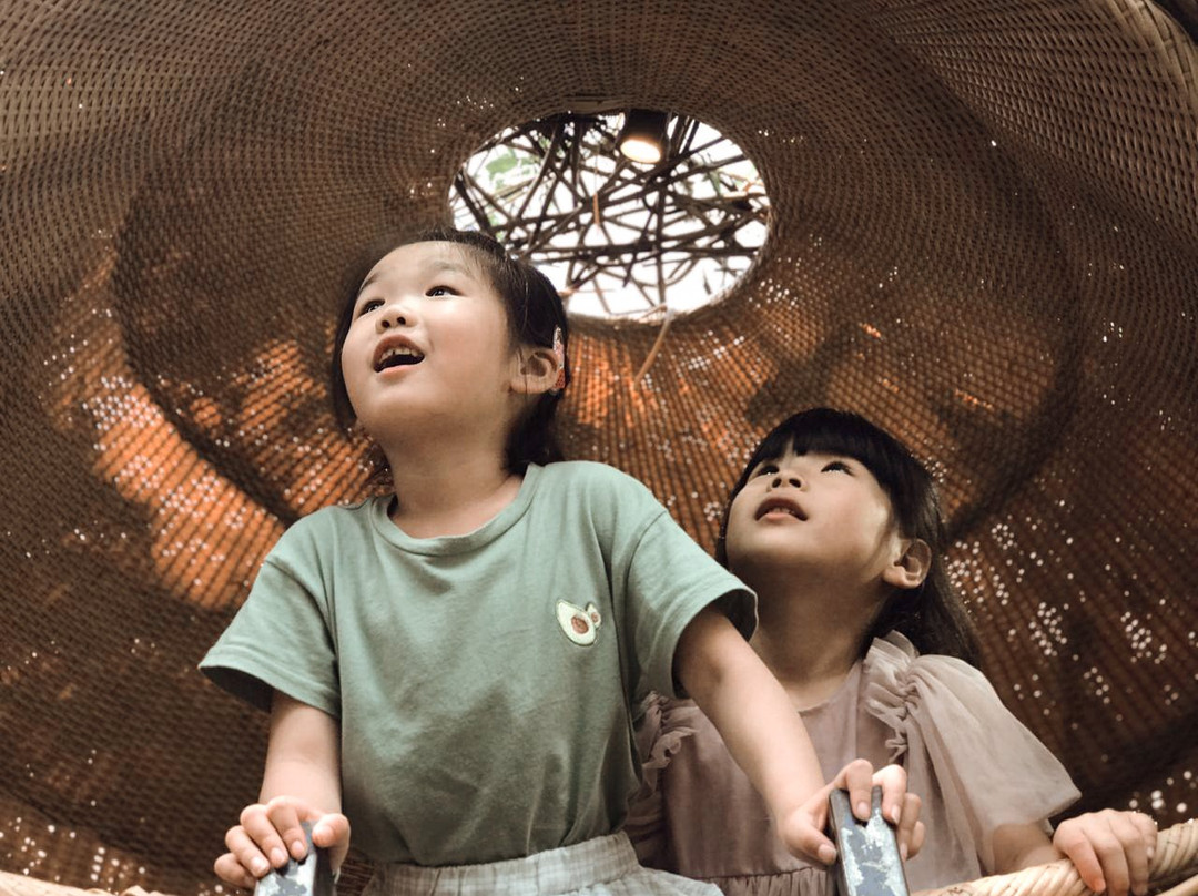 Desa Swing Bongkasa景点图片