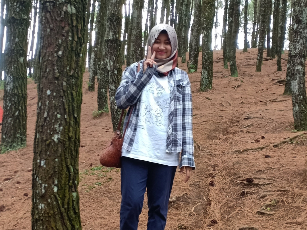 Moko Hill-万隆必去景点