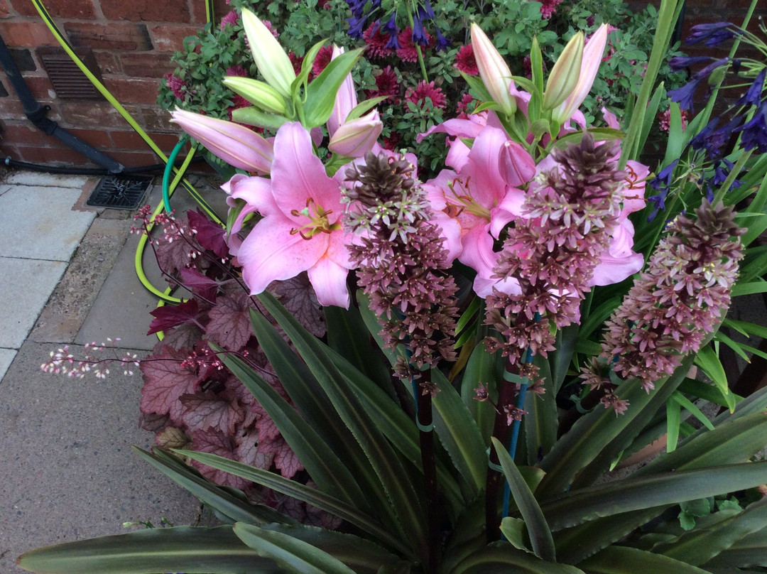 Meadow Farm Garden and Nursery-Worcestershire必去景点