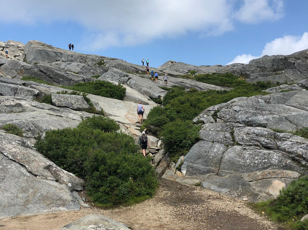 The Tartan Fox at the Meadmere主图