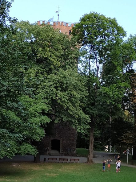 Piastowska Tower景点图片