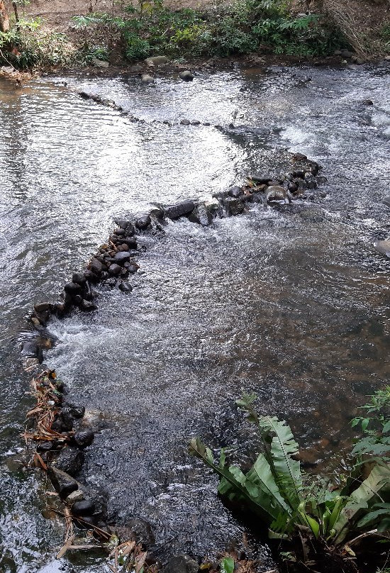Pulau Santap-武吉丁宜高原必去景点