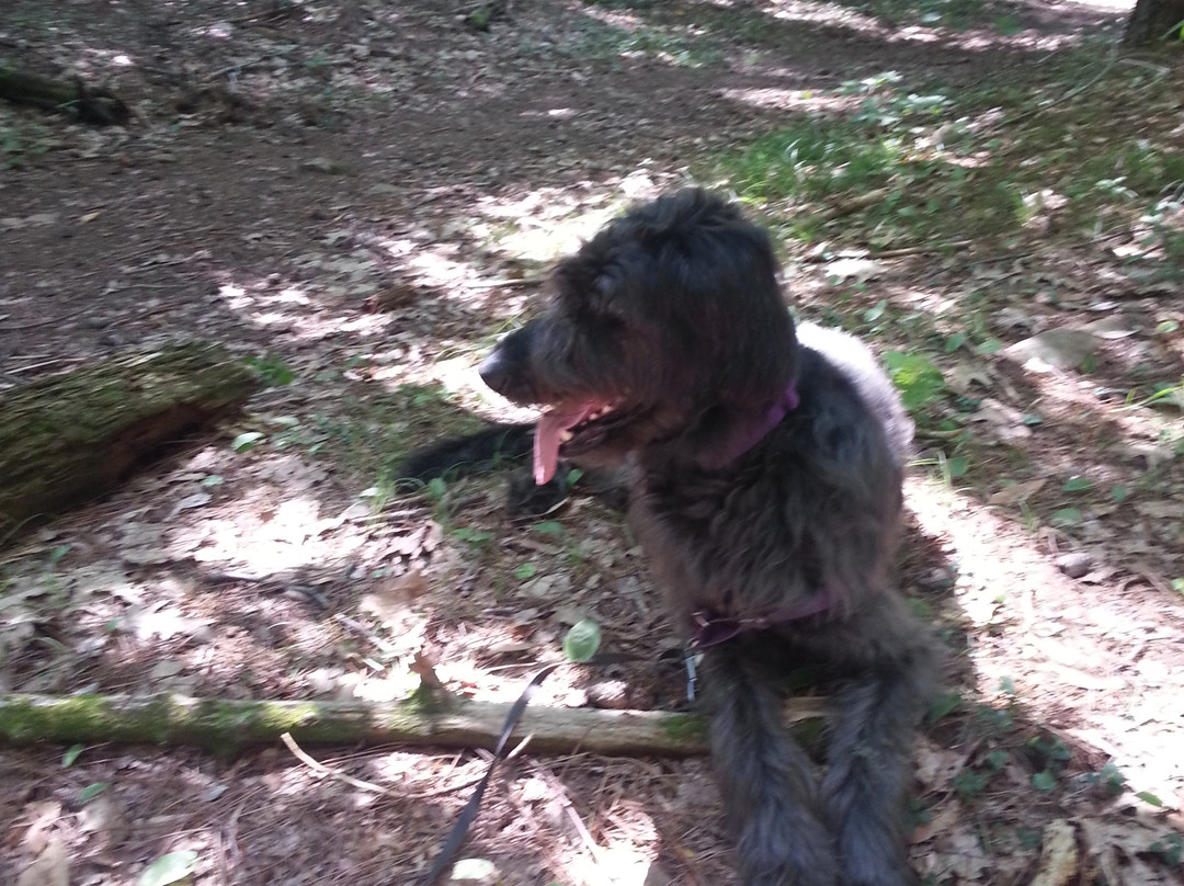 西哈特福德水库-西哈特福德必去景点